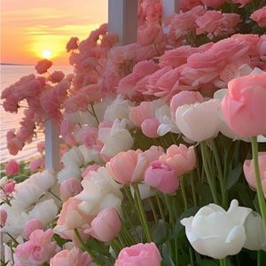 Meet your Posher, Cody